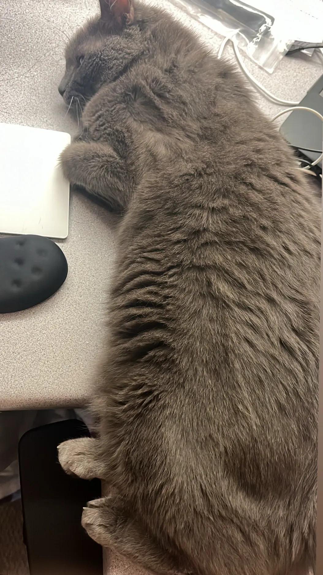 there are butts in these newsletter