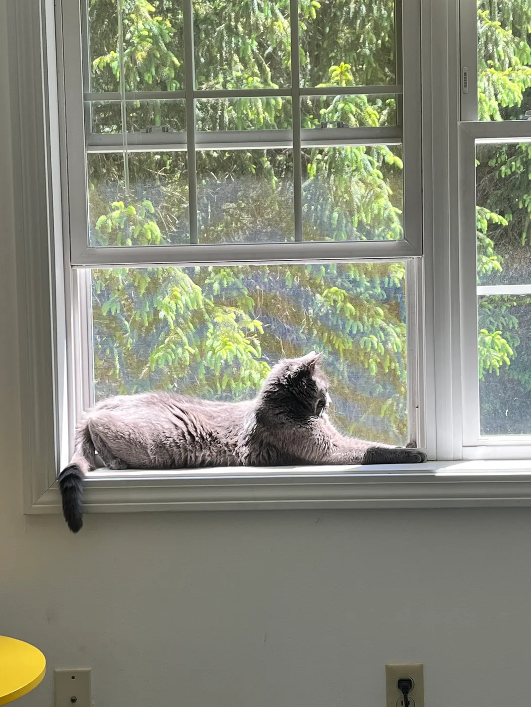 i've made a lot of stuff in the past few months